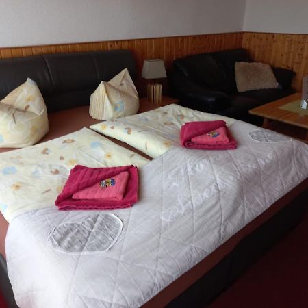 Pension Zur Elbe Wittenberg ภายนอก รูปภาพ